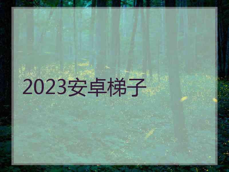 2023安卓梯子