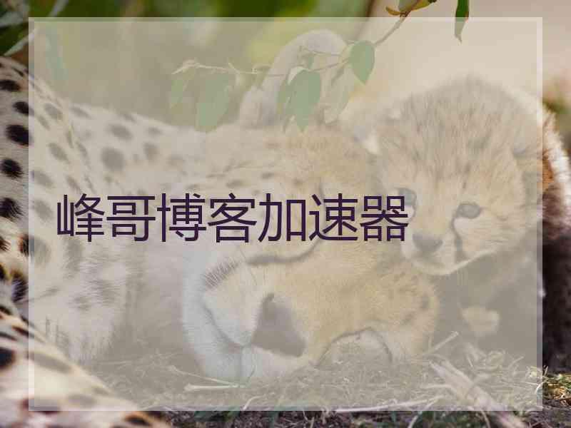 峰哥博客加速器