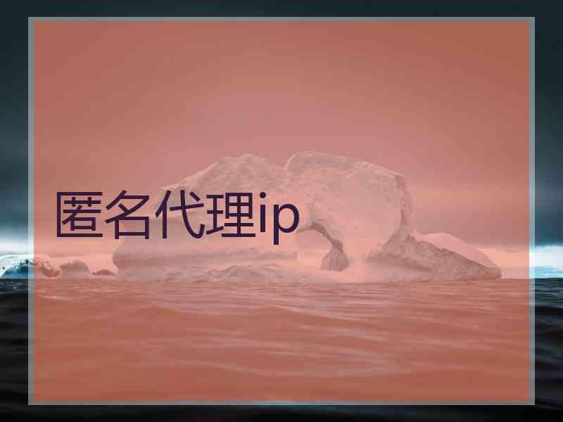 匿名代理ip