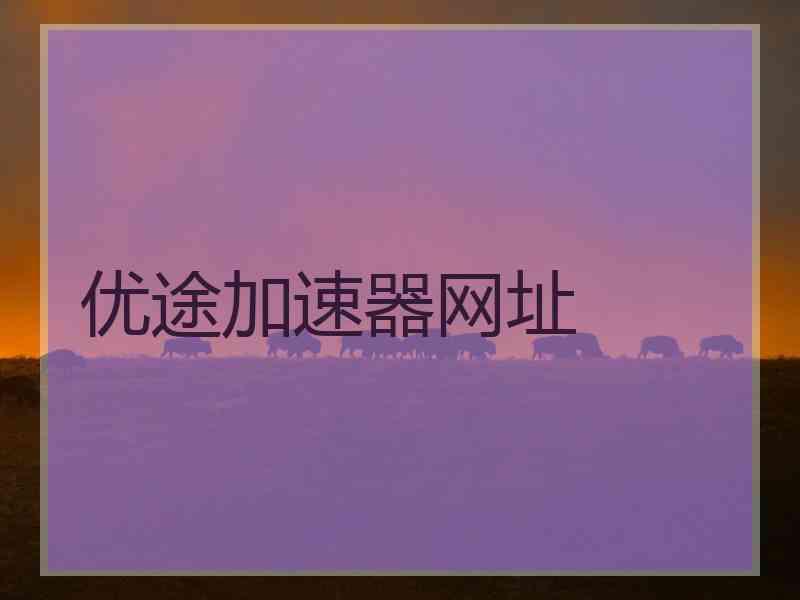 优途加速器网址