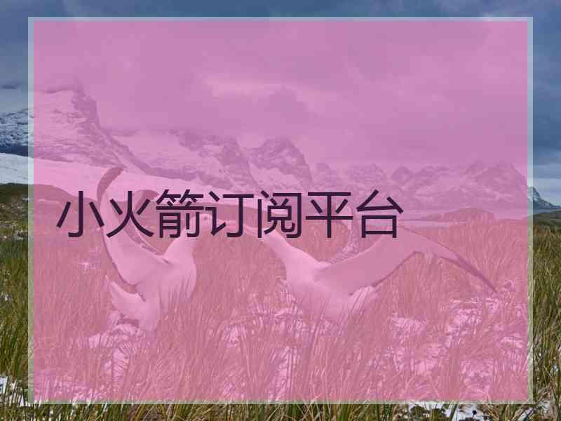 小火箭订阅平台