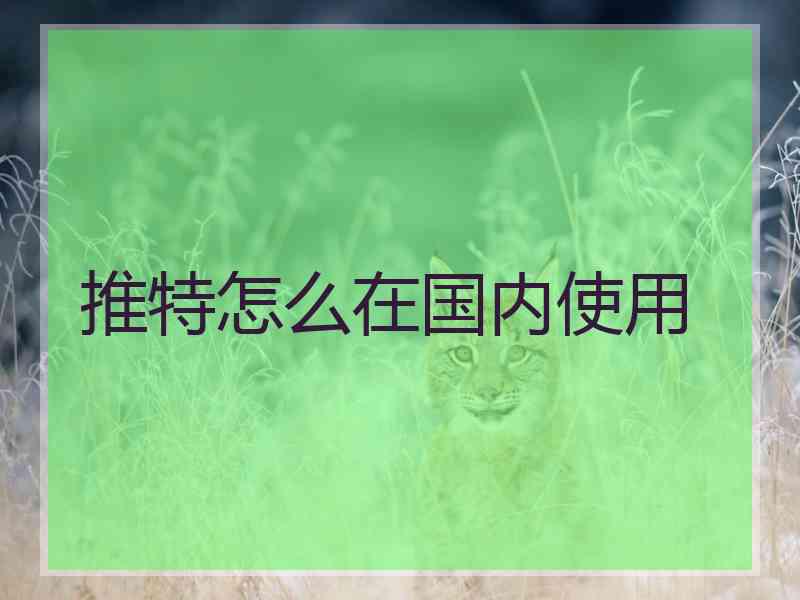 推特怎么在国内使用