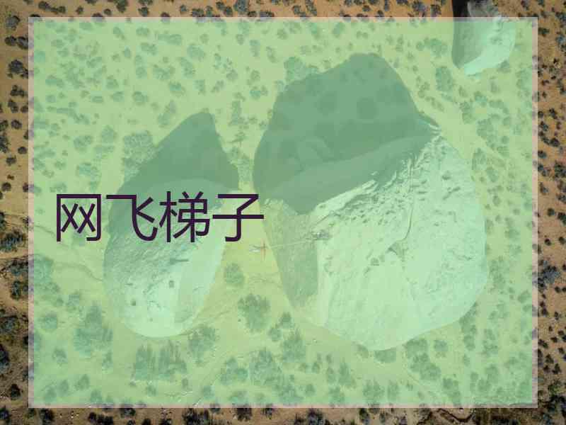 网飞梯子