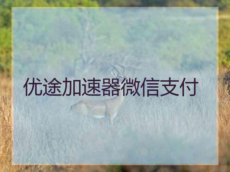 优途加速器微信支付