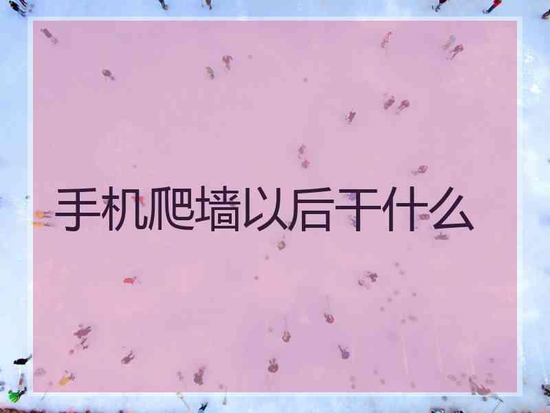 手机爬墙以后干什么