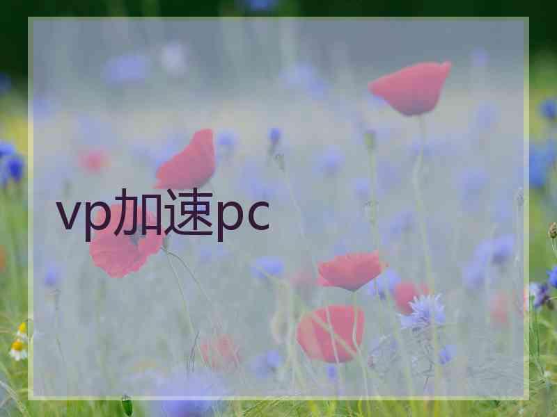 vp加速pc
