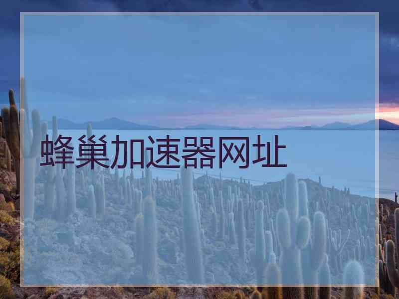 蜂巢加速器网址