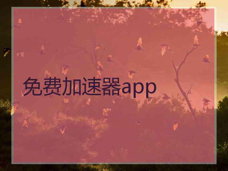 免费加速器app