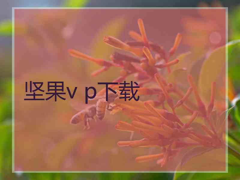 坚果v p下载
