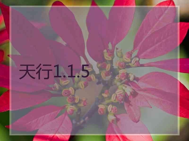 天行1.1.5