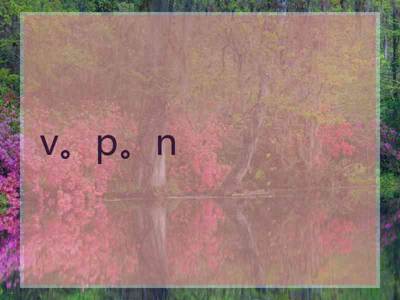 v。p。n