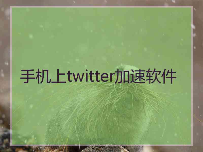 手机上twitter加速软件