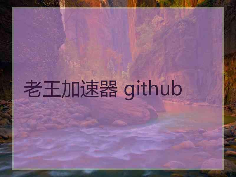 老王加速器 github