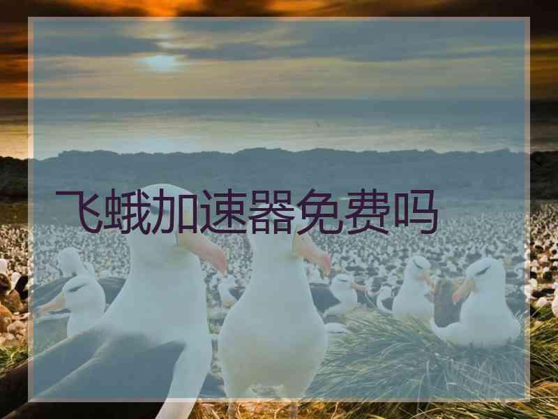 飞蛾加速器免费吗