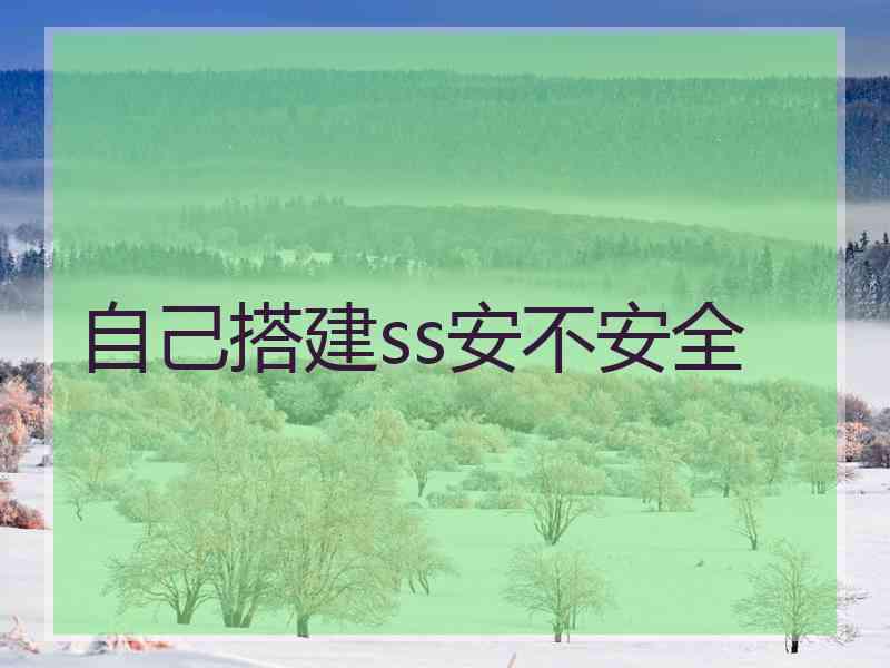 自己搭建ss安不安全