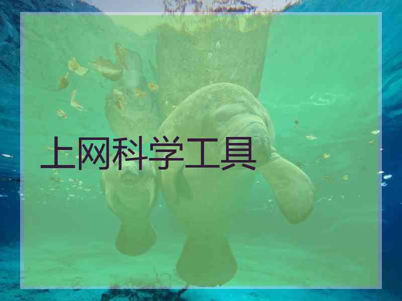 上网科学工具