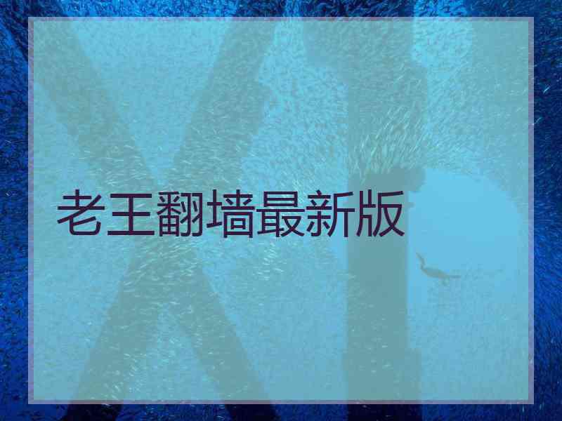 老王翻墙最新版