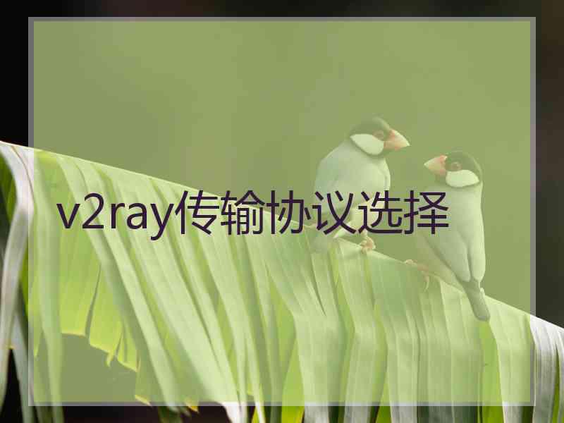 v2ray传输协议选择