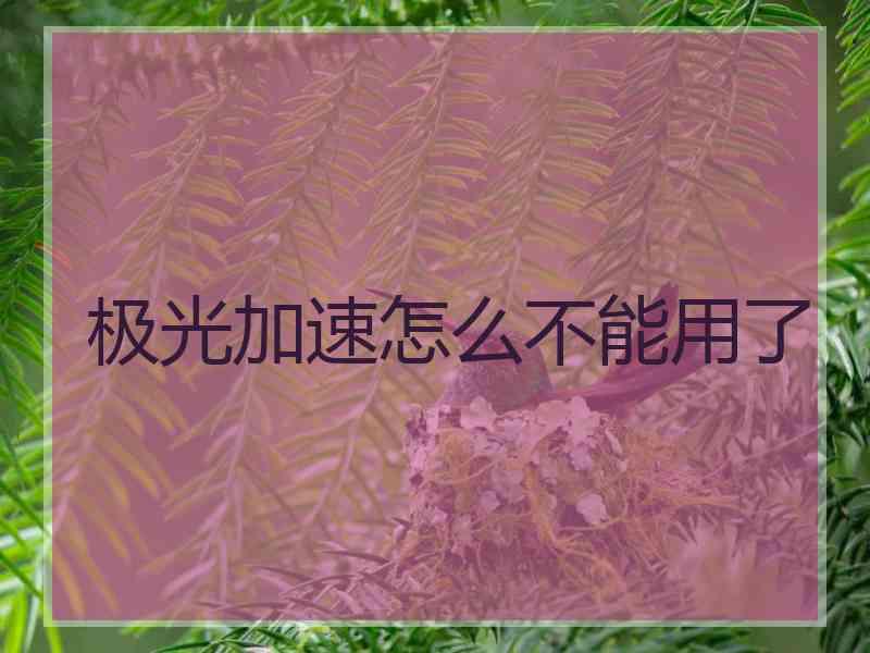 极光加速怎么不能用了