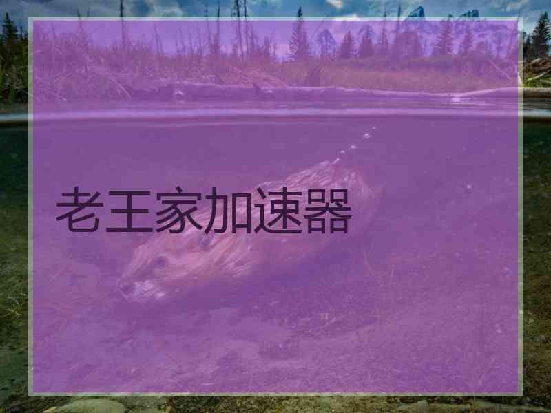 老王家加速器