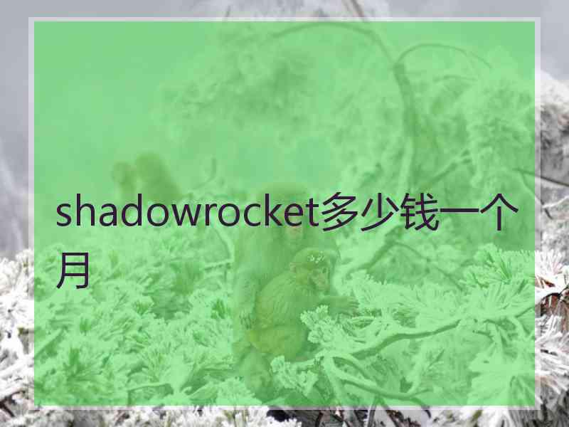 shadowrocket多少钱一个月