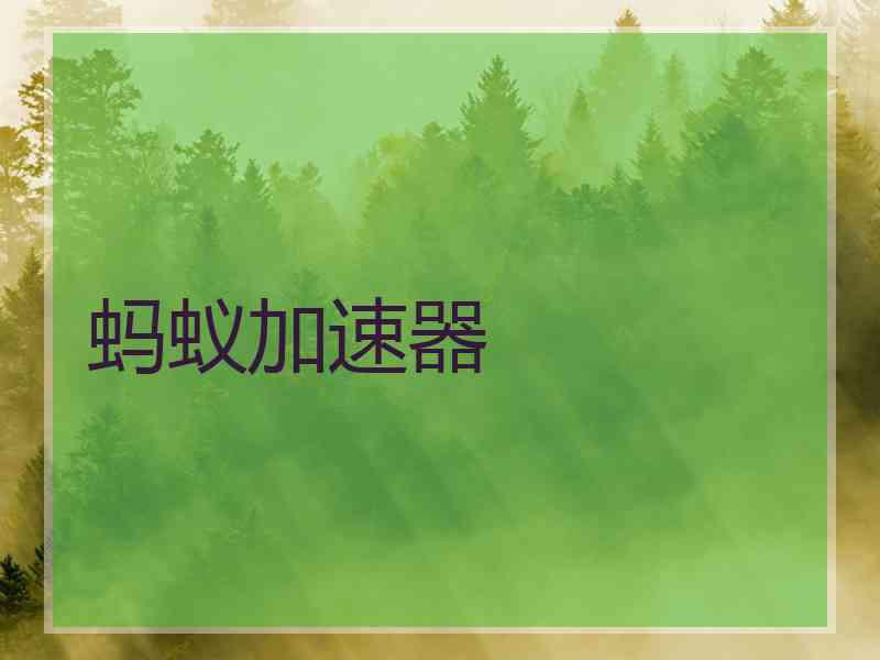 蚂蚁加速器