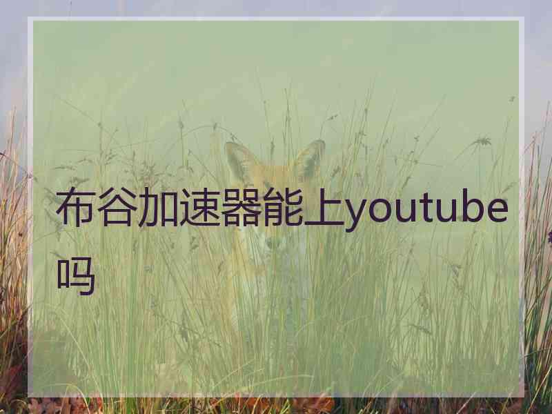 布谷加速器能上youtube吗
