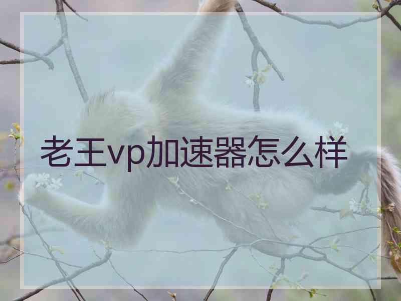 老王vp加速器怎么样