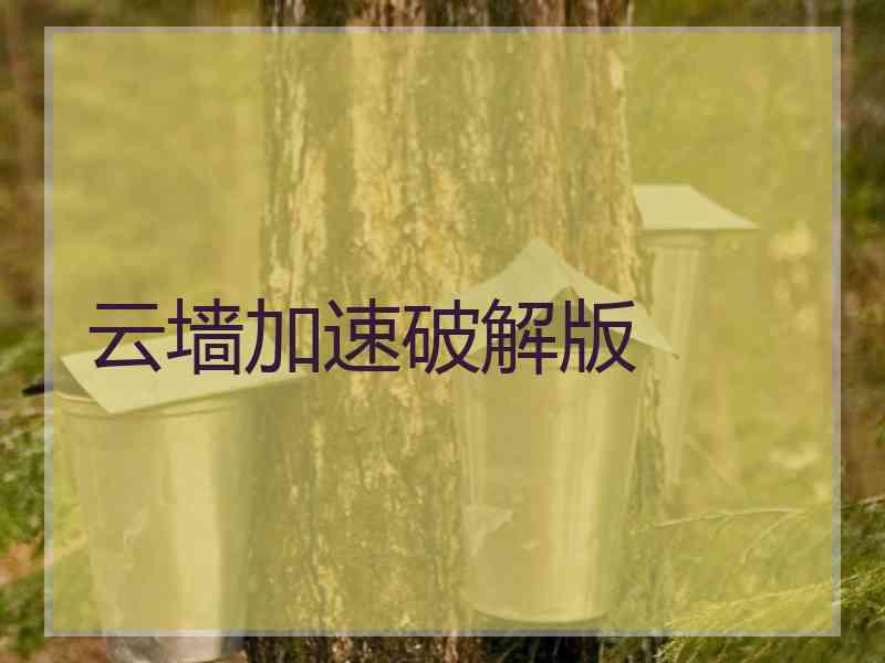 云墙加速破解版
