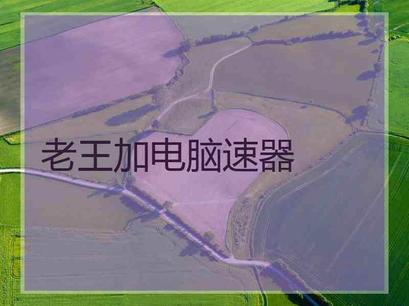 老王加电脑速器