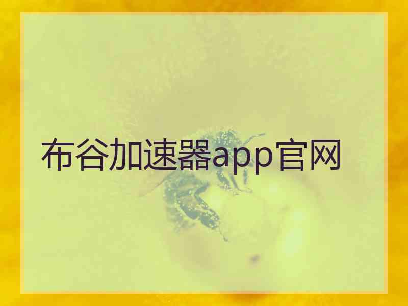 布谷加速器app官网