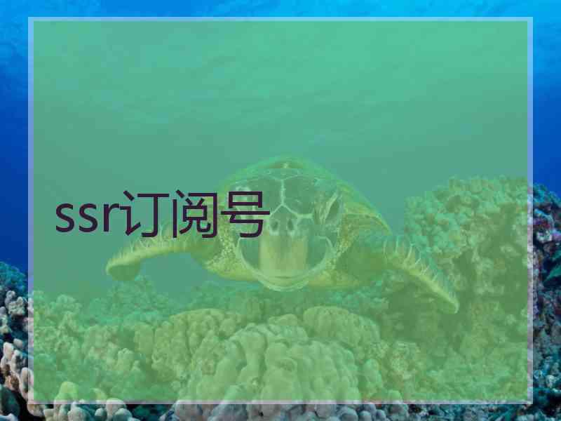 ssr订阅号
