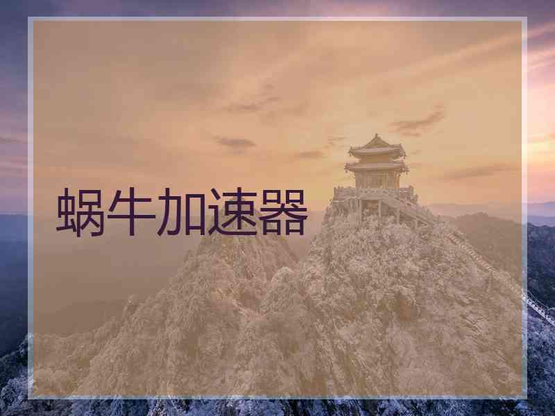 蜗牛加速器