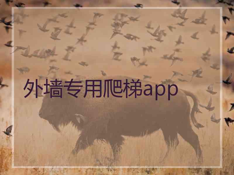 外墙专用爬梯app