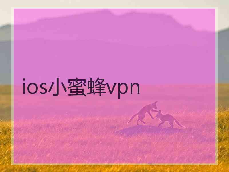ios小蜜蜂vpn
