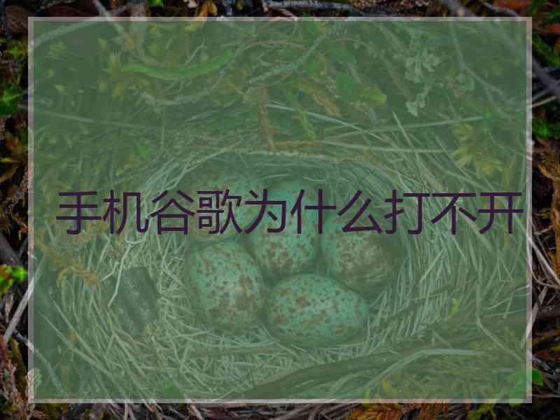 手机谷歌为什么打不开