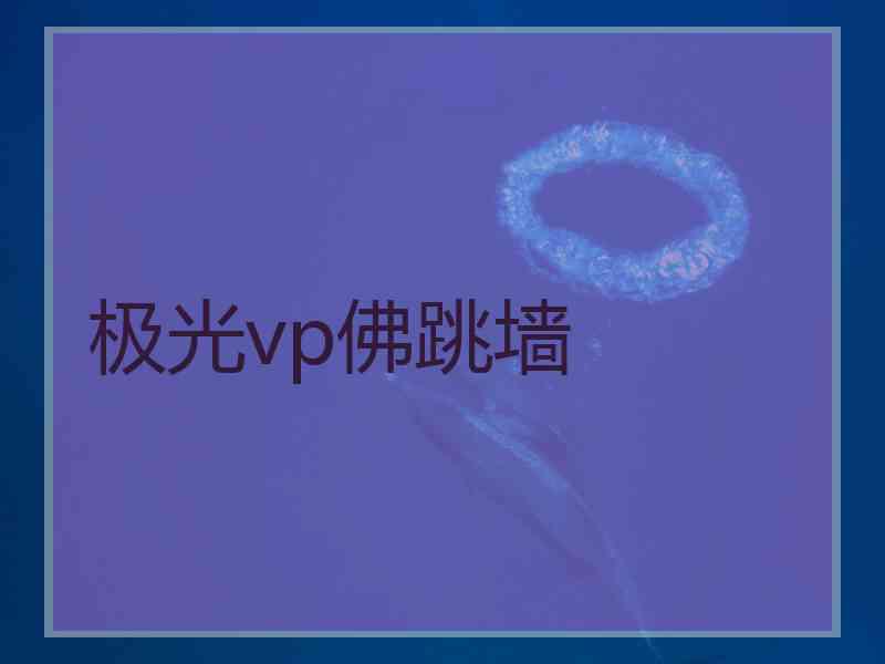 极光vp佛跳墙