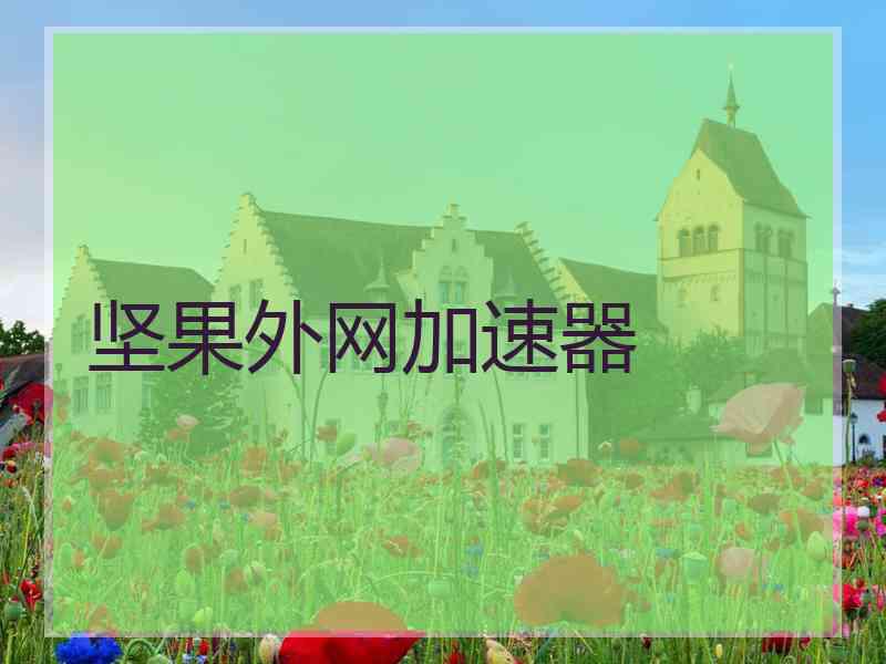 坚果外网加速器
