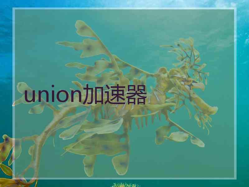 union加速器