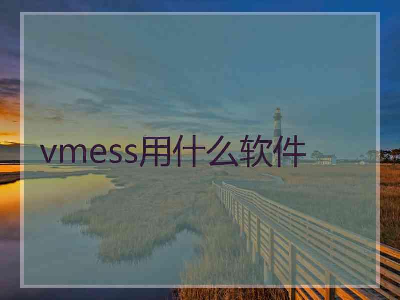 vmess用什么软件