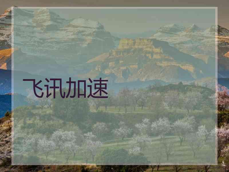 飞讯加速