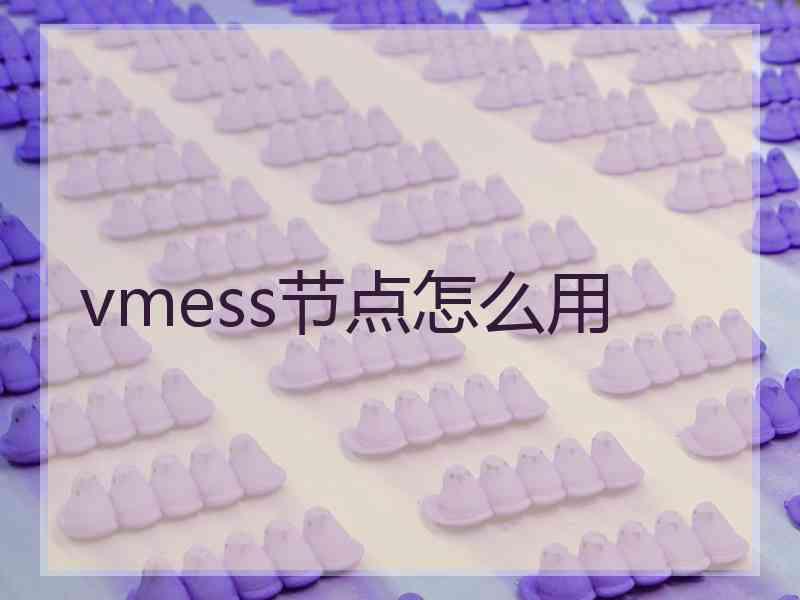 vmess节点怎么用