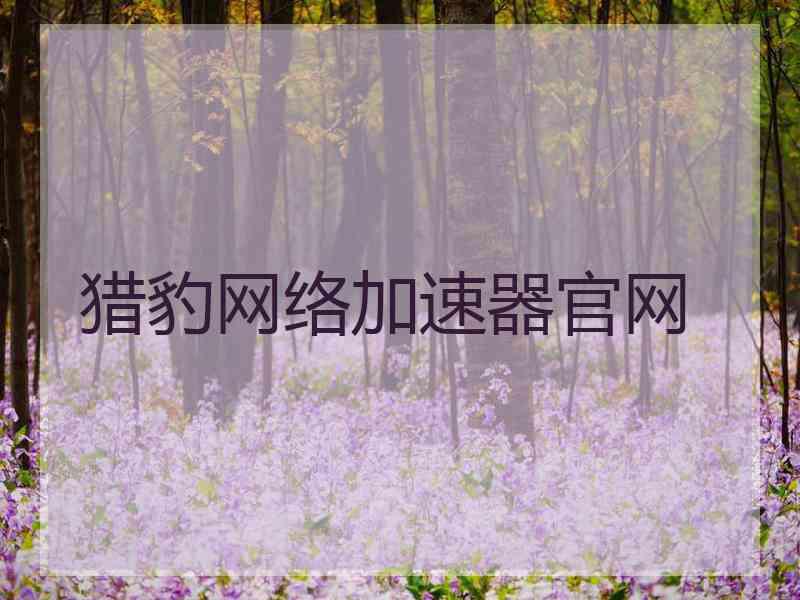 猎豹网络加速器官网