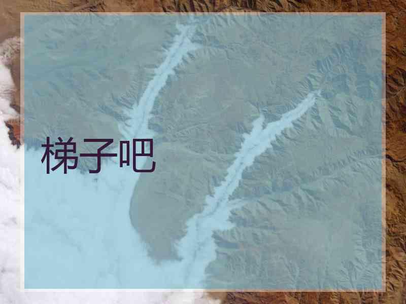 梯子吧