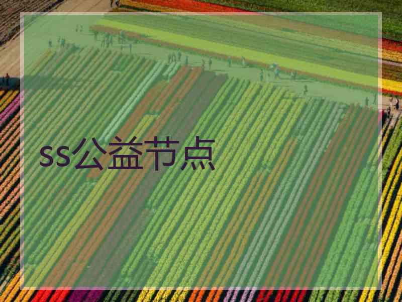 ss公益节点