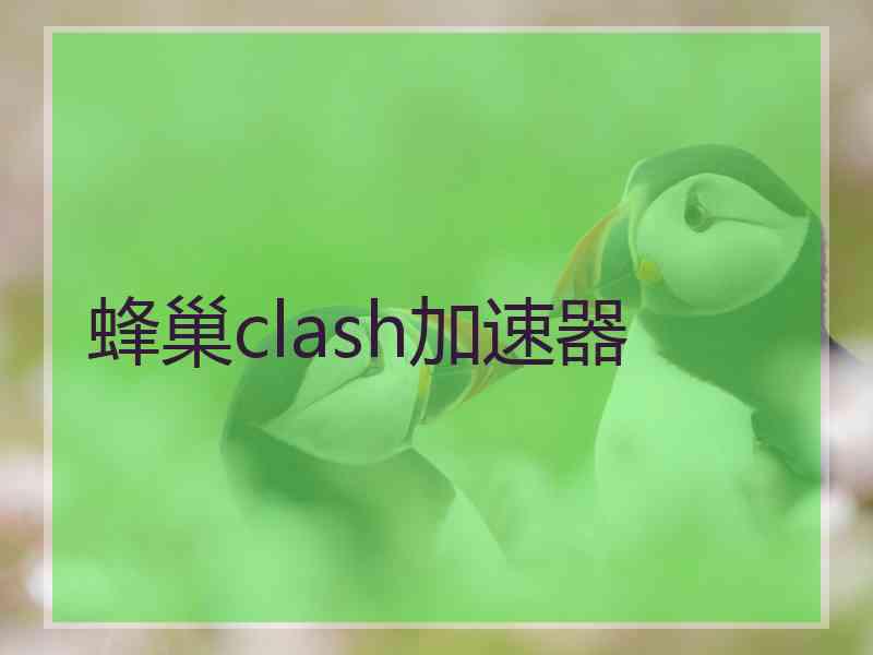 蜂巢clash加速器