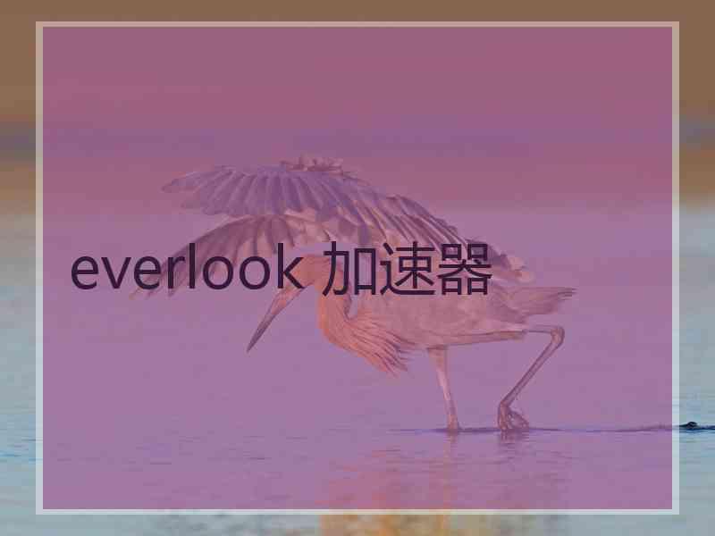 everlook 加速器