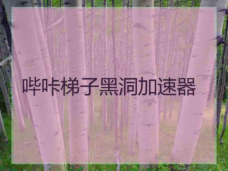 哔咔梯子黑洞加速器