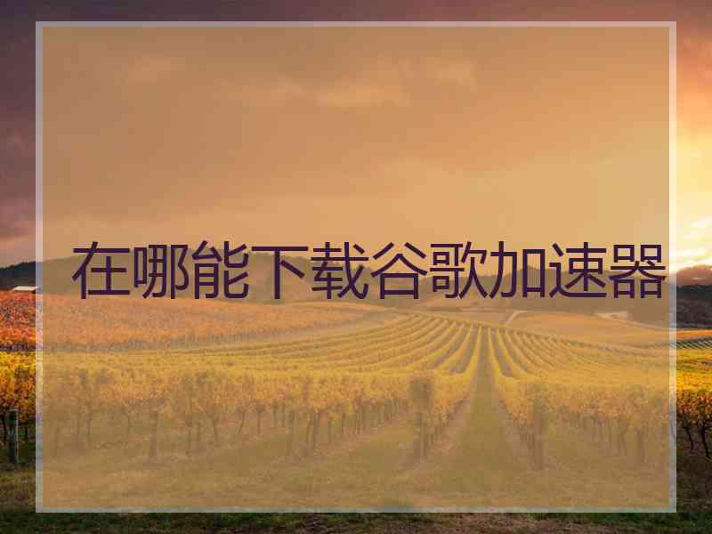 在哪能下载谷歌加速器