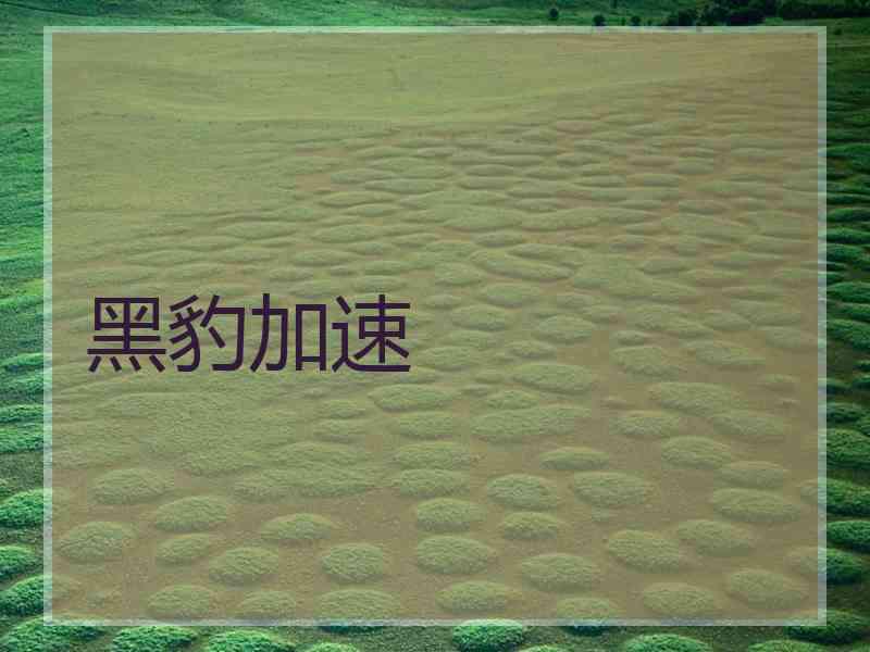 黑豹加速